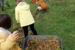 action-jardinage-1