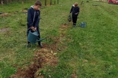 action-jardinage-4