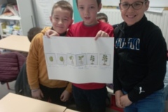 sciences-5