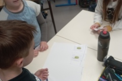 sciences-7